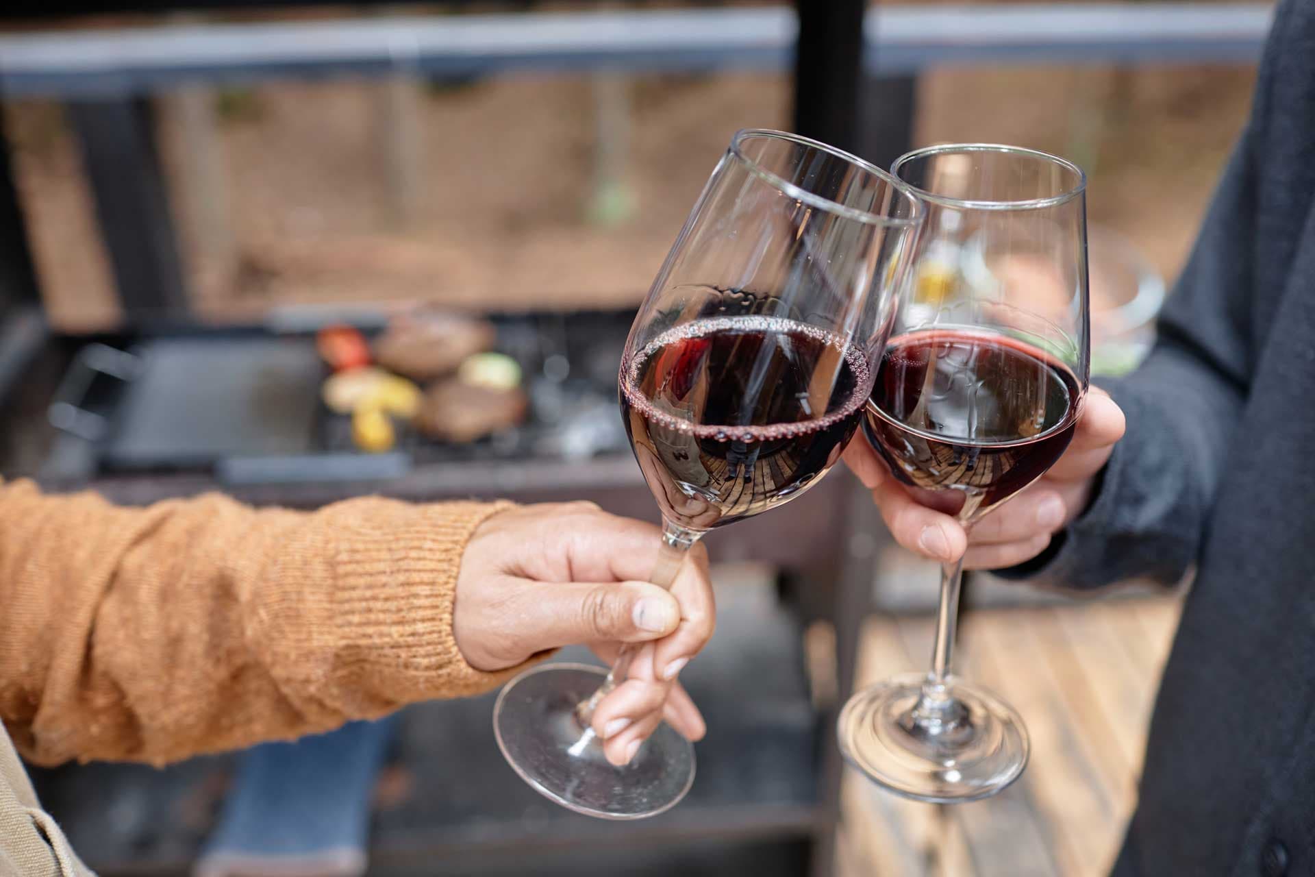 Tipos de vino tinto en Chile, amigos con dos copas