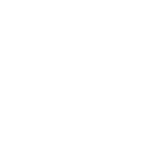 Tarapacá logo