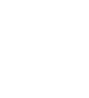 Iceberg logo