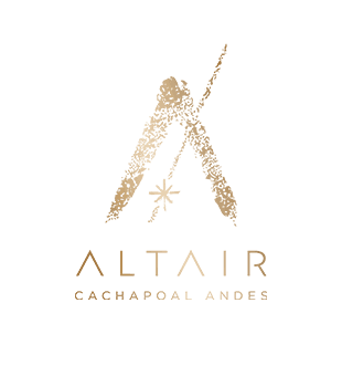 Altair logo