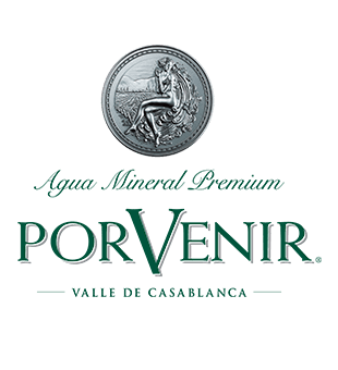 Porvenir logo