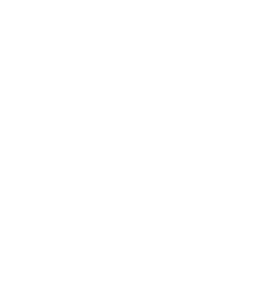 Patagonia logo