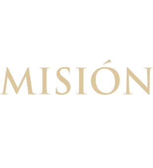 Mision logo