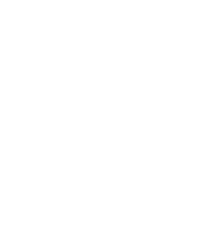 Volcanes Del Sur logo
