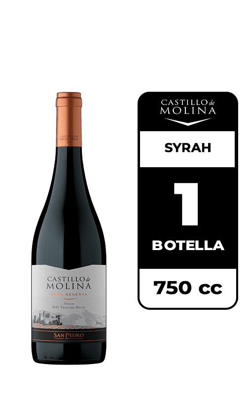 Vino Castillo De Molina Syrah 750cc