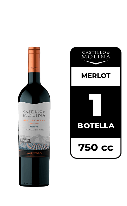 Vino Castillo De Molina Merlot 750cc
