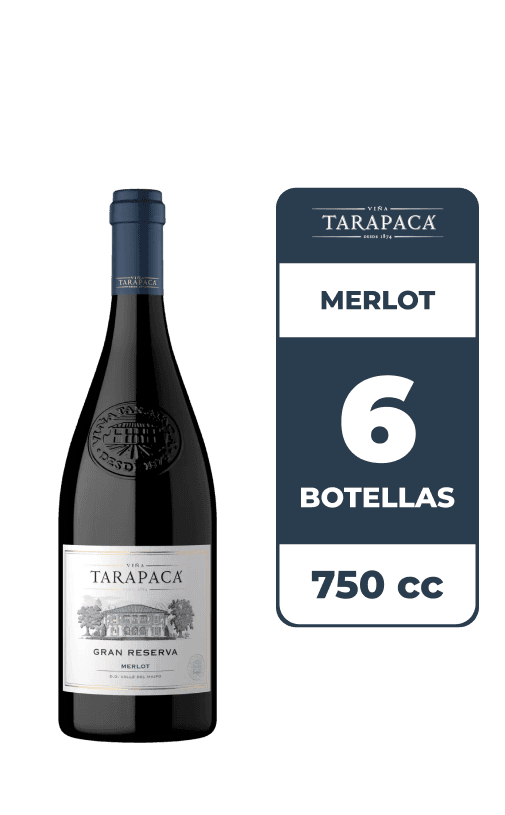 6x Vino Tarapacá Gran Reserva Merlot 750cc