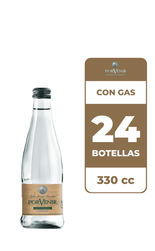 24x Agua Mineral Porvenir Con Gas 330cc