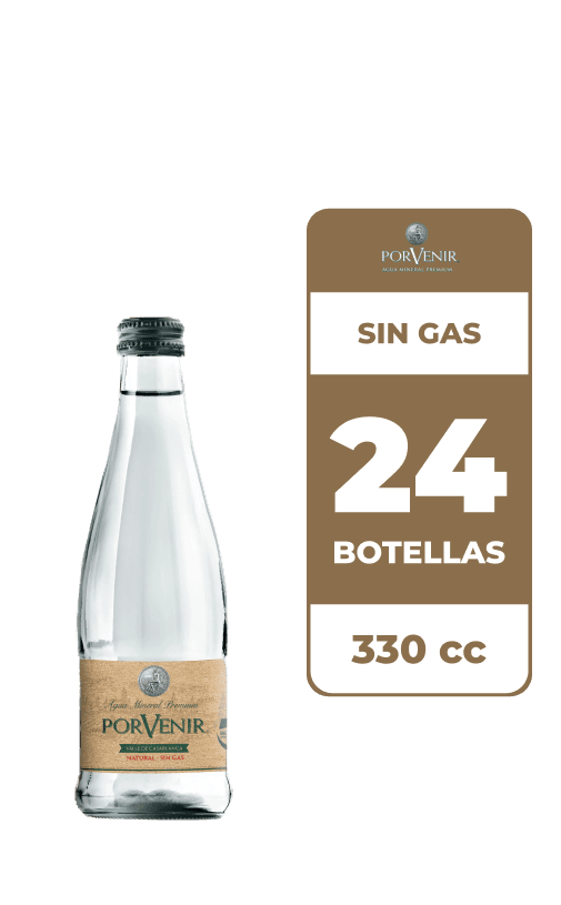 24x Agua Mineral Porvenir Sin Gas 330cc