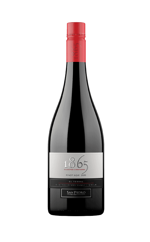 3x Vino 1865 Pinot Noir 750cc
