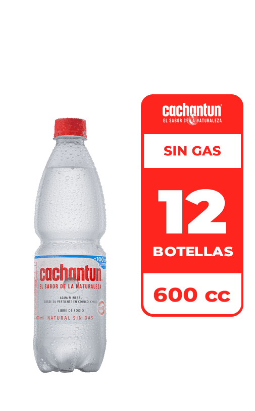 12x Agua Mineral Cachantun Sin Gas 600cc
