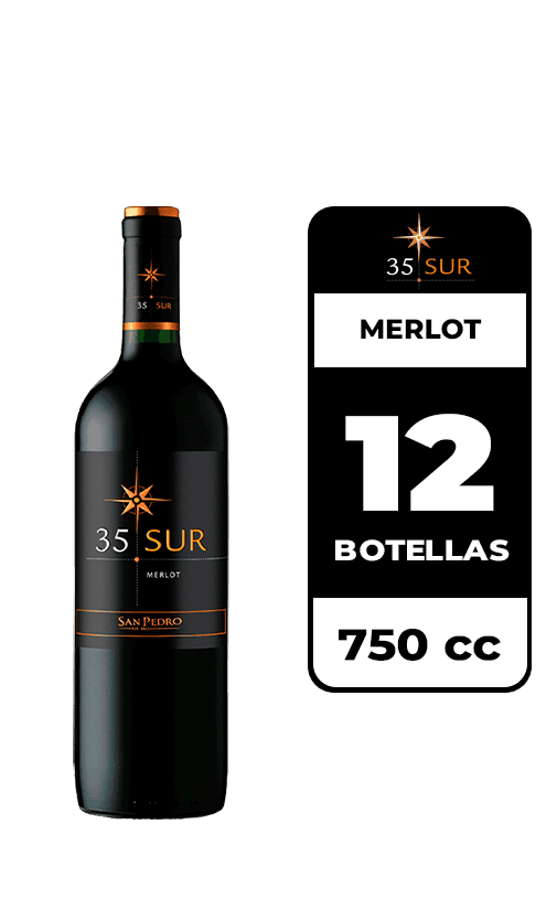12x Vino 35 Sur Merlot 750cc