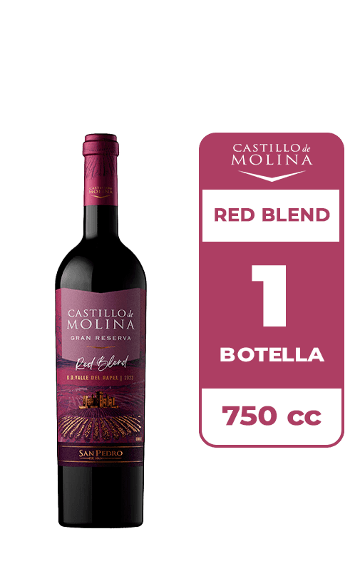 Vino Castillo De Molina Gran Reserva Red Blend 750cc