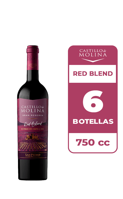 6x Vino Castillo De Molina Gran Reserva Red Blend 750cc