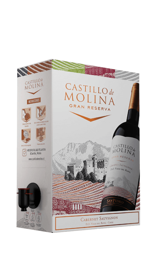 Vino Castillo De Molina Carmenere Bag In Box 3L