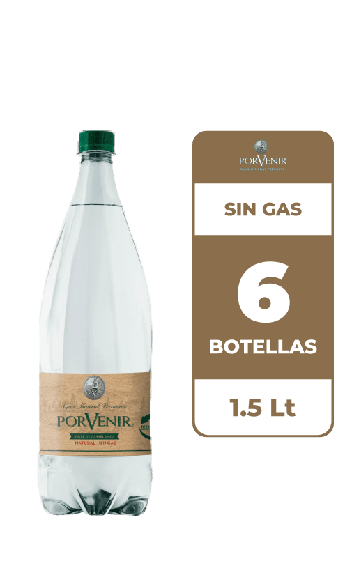 6x Agua Mineral Porvenir Sin Gas 1.5L