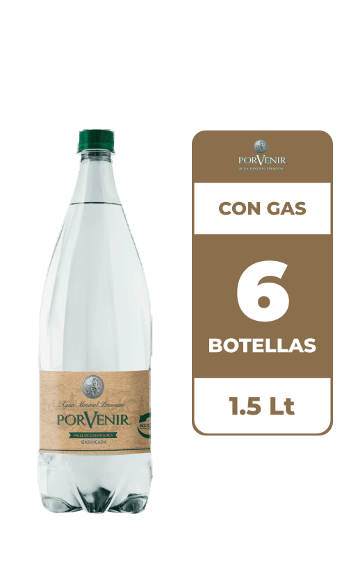 6x Agua Mineral Porvenir Con Gas 1.5L