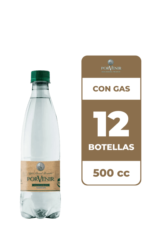 12x Agua Mineral Porvenir Con Gas 500cc