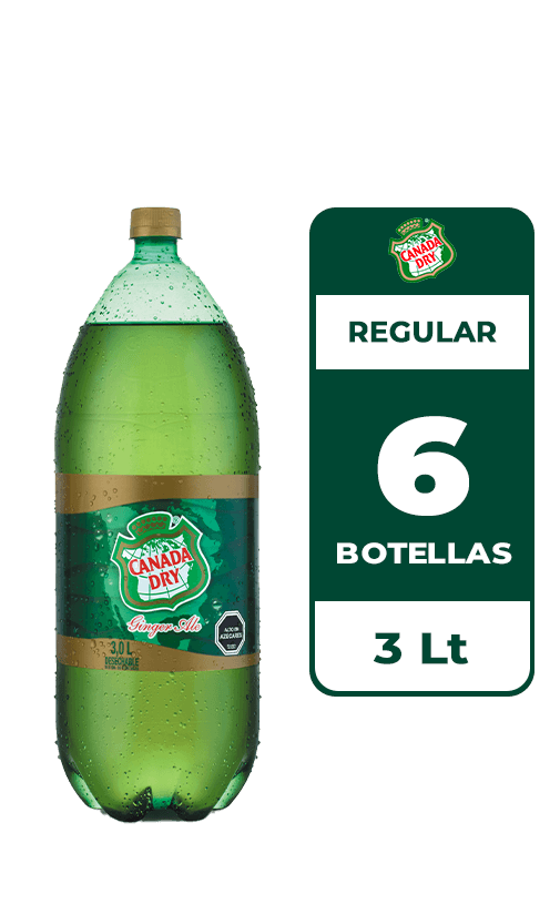 6x Bebida Canada Dry Ginger Ale Botella 3L