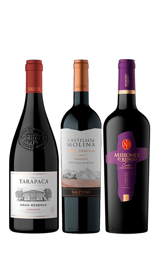 3x Vinos Gran Reserva Carmenere Variedades 750cc