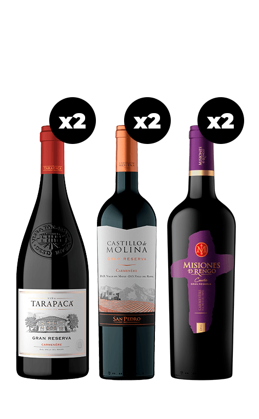 6x Vinos Gran Reserva Carmenere Variedades 750cc