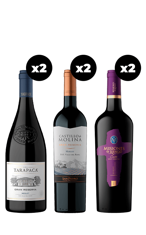 6x Vinos Gran Reserva Merlot Variedades 750cc