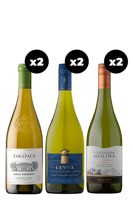6x Vinos Gran Reserva Sauvignon Blanc Variedades 750cc