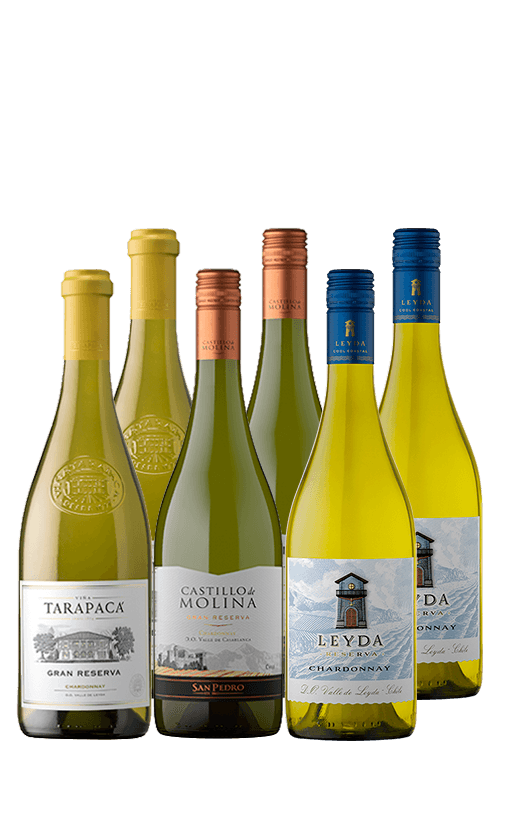 6x Vinos Chardonnay Variedades 750cc