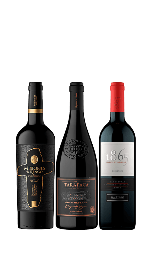 3x Vinos Gran Reserva Variedades 750cc