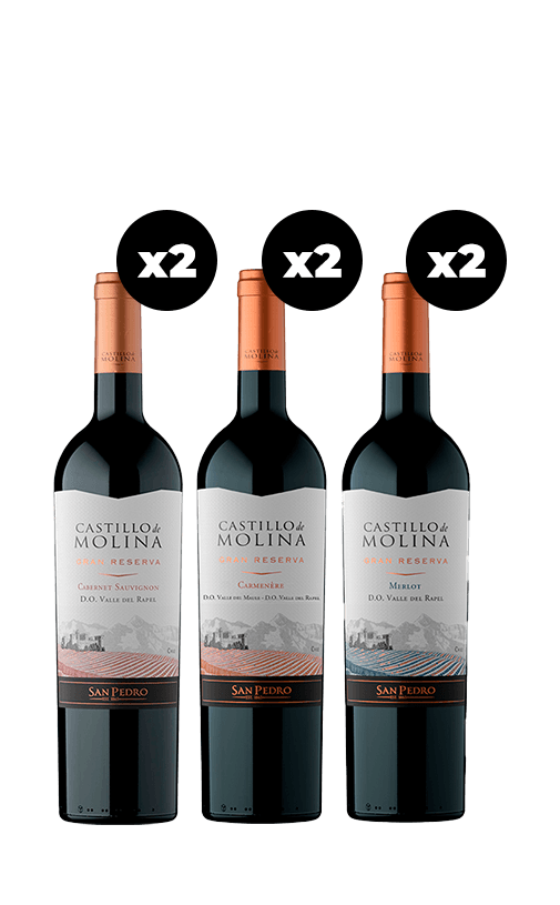 6x Vinos Castillo de Molina Cepas 750cc