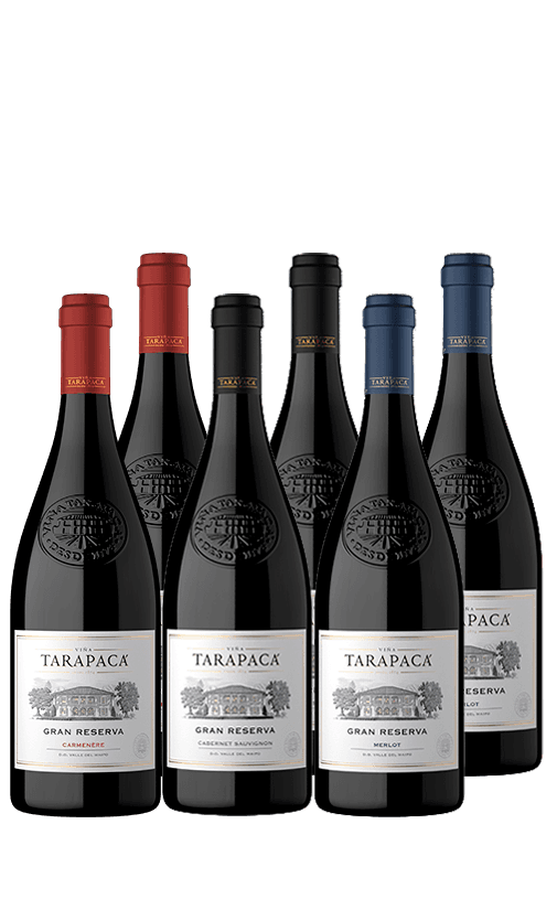 6x Vinos Tarapacá Gran Reserva Cepas 750cc