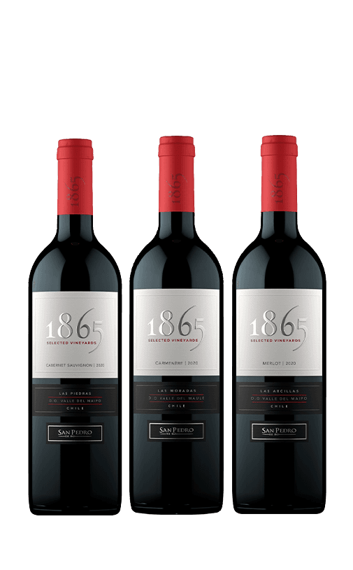 3x Vinos 1865 Cepas 750cc