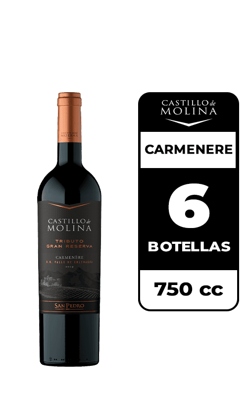 6x Vino Castillo De Molina Tributo Gran Reserva Carmenere 750cc