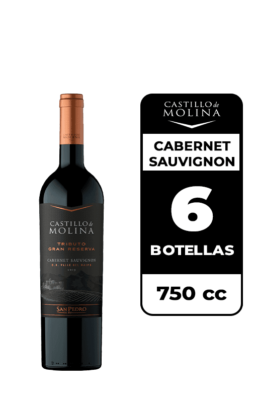 6x Vino Castillo De Molina Tributo Gran Reserva Cabernet Sauvignon 750cc