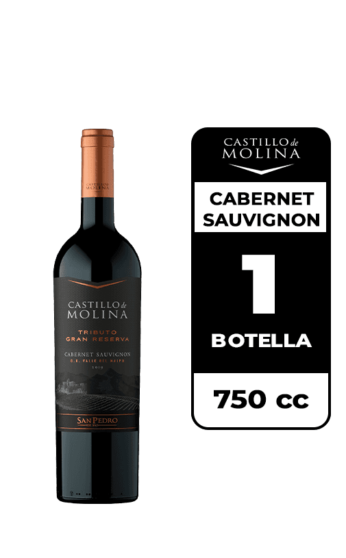 Vino Castillo De Molina Tributo Gran Reserva Cabernet Sauvignon 750cc