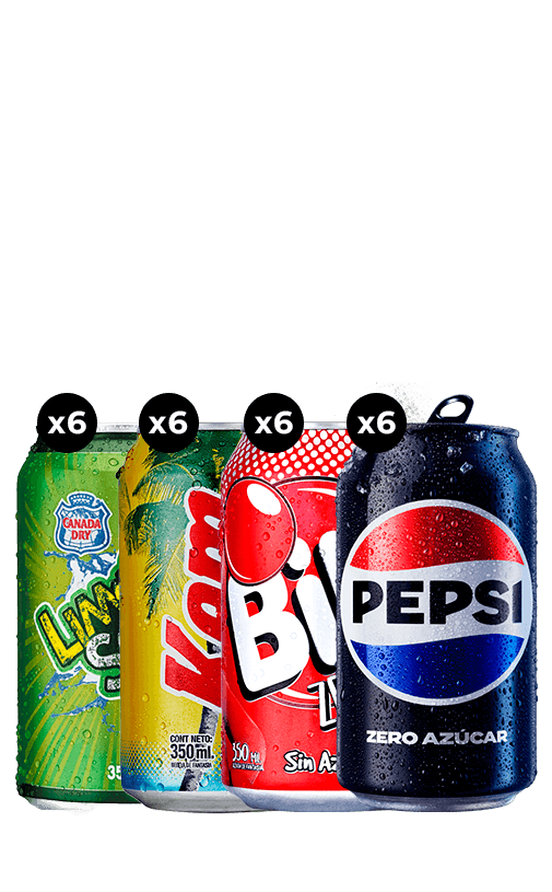 24x Bebida Variedades Lata 350cc