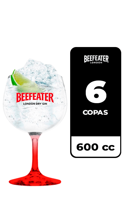 6x Copa Beefeater 600cc
