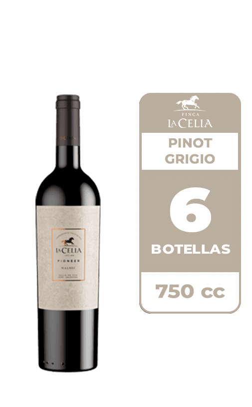 6x Vino La Celia Pioneer Malbec 750cc