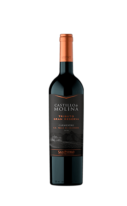 6x Vino Castillo De Molina Tributo Gran Reserva Carmenere 750cc