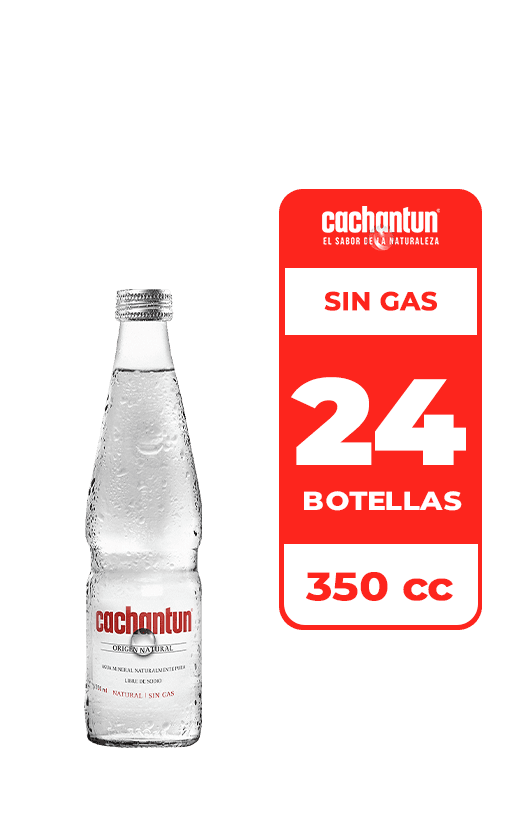 24x Agua Mineral Cachantun Sin Gas 350cc