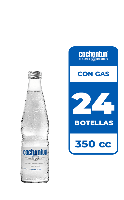 24x Agua Mineral Cachantun Con Gas 350cc