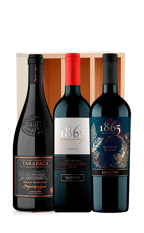 Pack 3x Vino Gran Reserva Variedades + Caja Madera