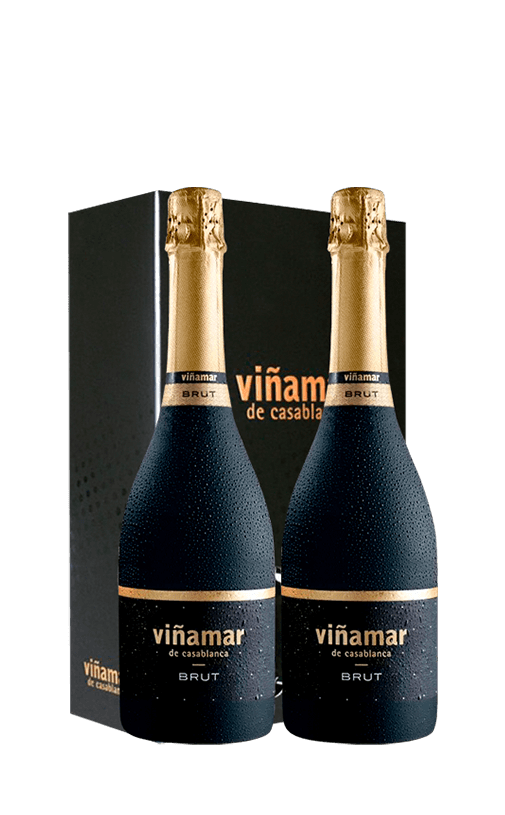 Pack 2x Espumante Viñamar Brut 750cc