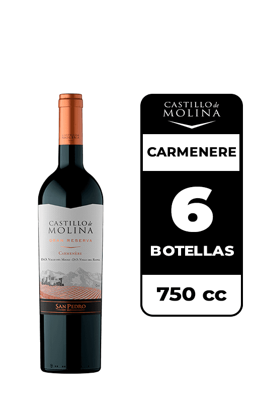 6x Vino Castillo De Molina Carmenere 750cc