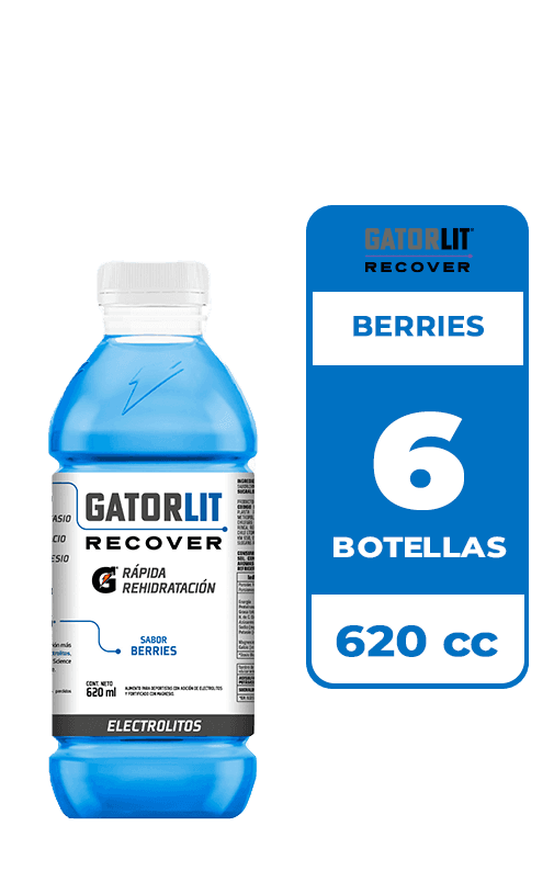 6x Bebida Suero Gatorlit Berries 620cc