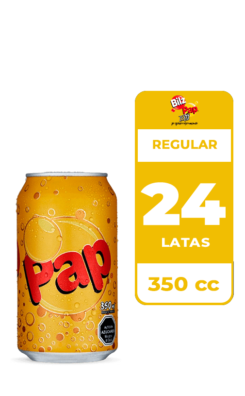 24x Bebida Pap Lata 350cc