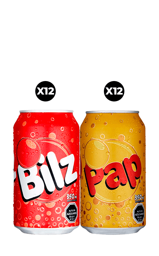 24x Bebida Bilz + Pap Lata 350cc