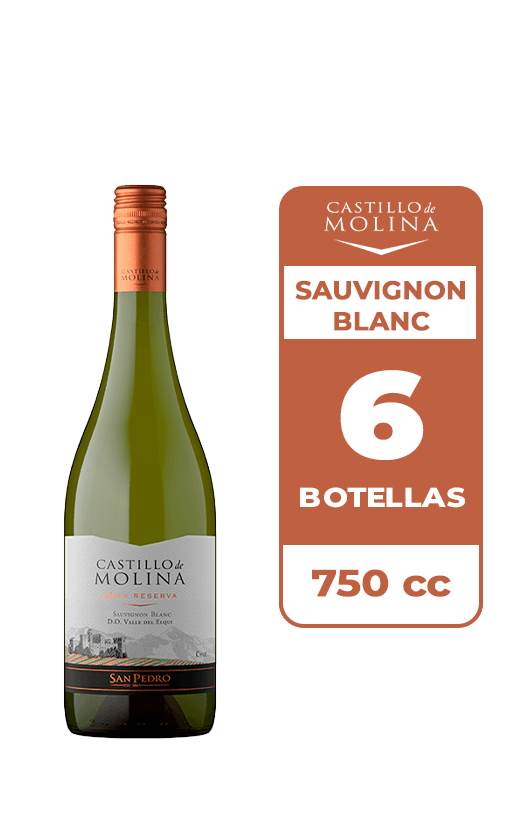 6x Vino Castillo De Molina Sauvignon Blanc 750cc