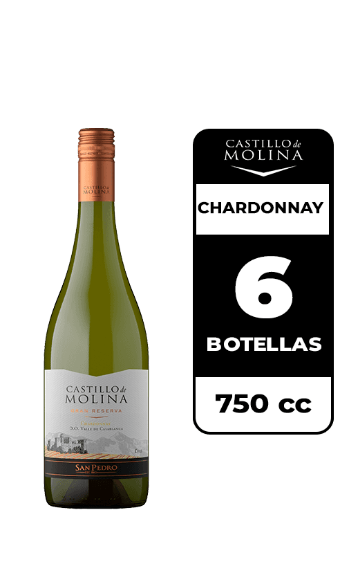 6x Vino Castillo De Molina Chardonnay 750cc