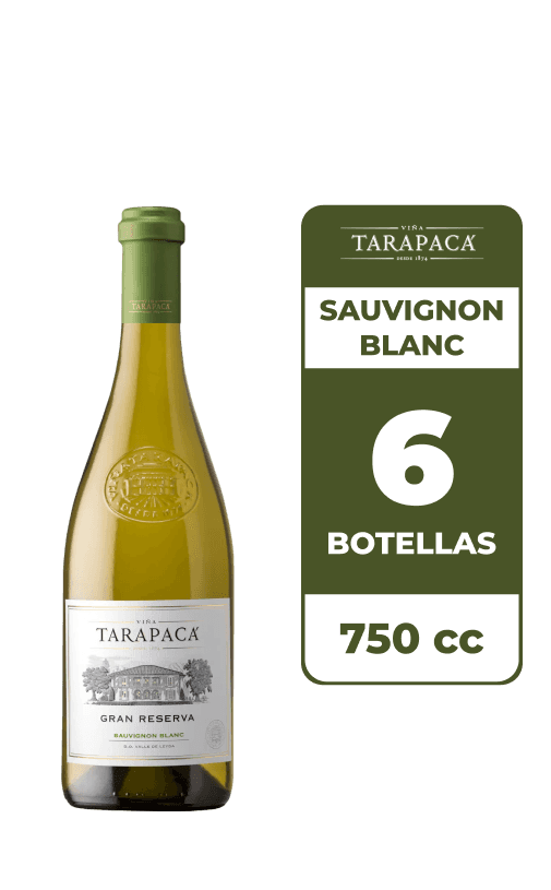 6x Vino Tarapacá Gran Reserva Sauvignon Blanc 750cc